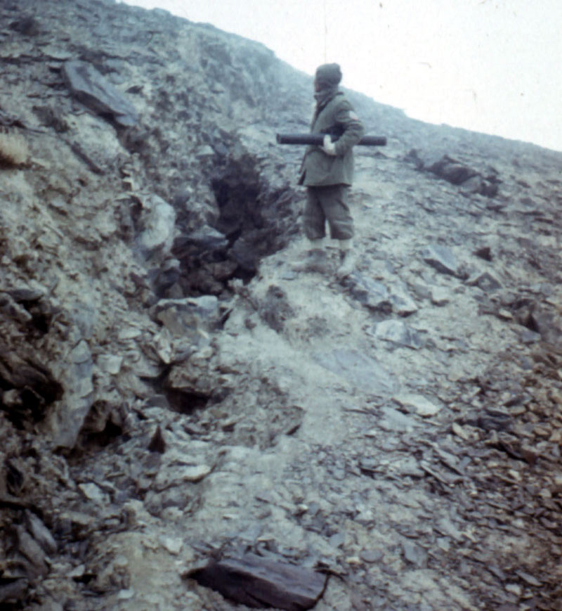 Трещины в верхней части Правобережного склона — основной сигнал опасности. Фото Л. П. Папырина, 1982 г.
