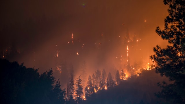 Лесные пожары в Сибири, 2015 год