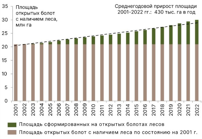 болота России