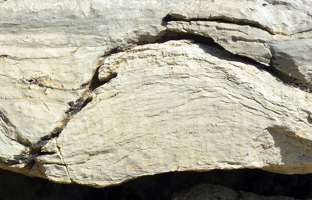 Cambrian Stromatolites