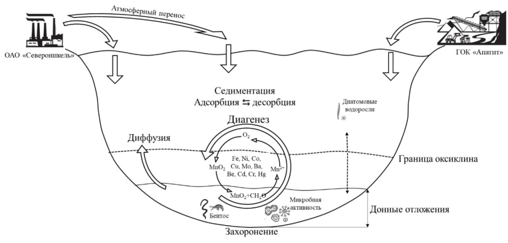 Биогеохимические процессы в озере Имандра