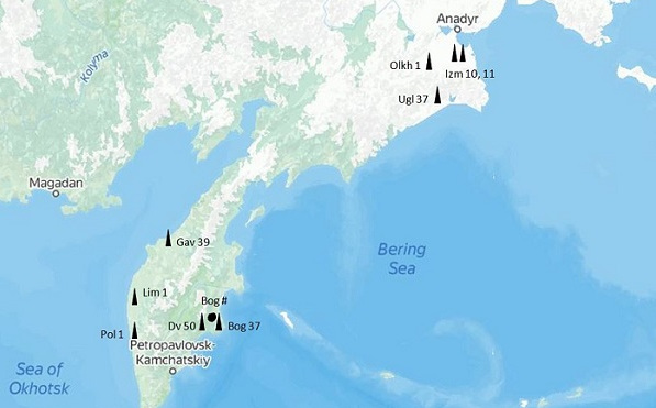 Расположение нефтяных скважин на полуострове Камчатка и юго-востоке Чукотки