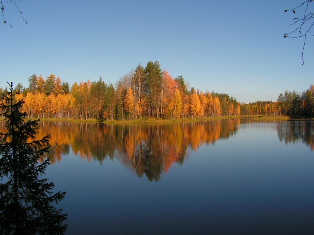 Пинежский заповедник