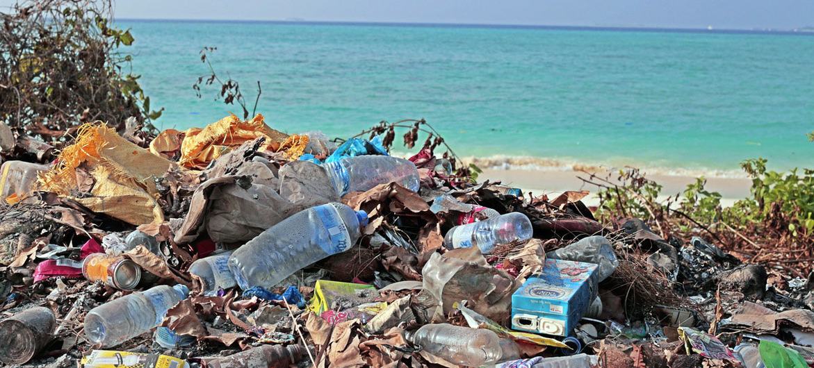Plastic