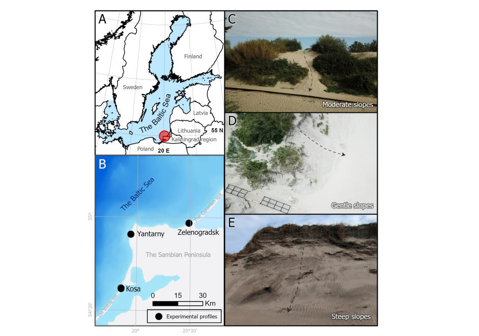 Район и типичные объекты исследования