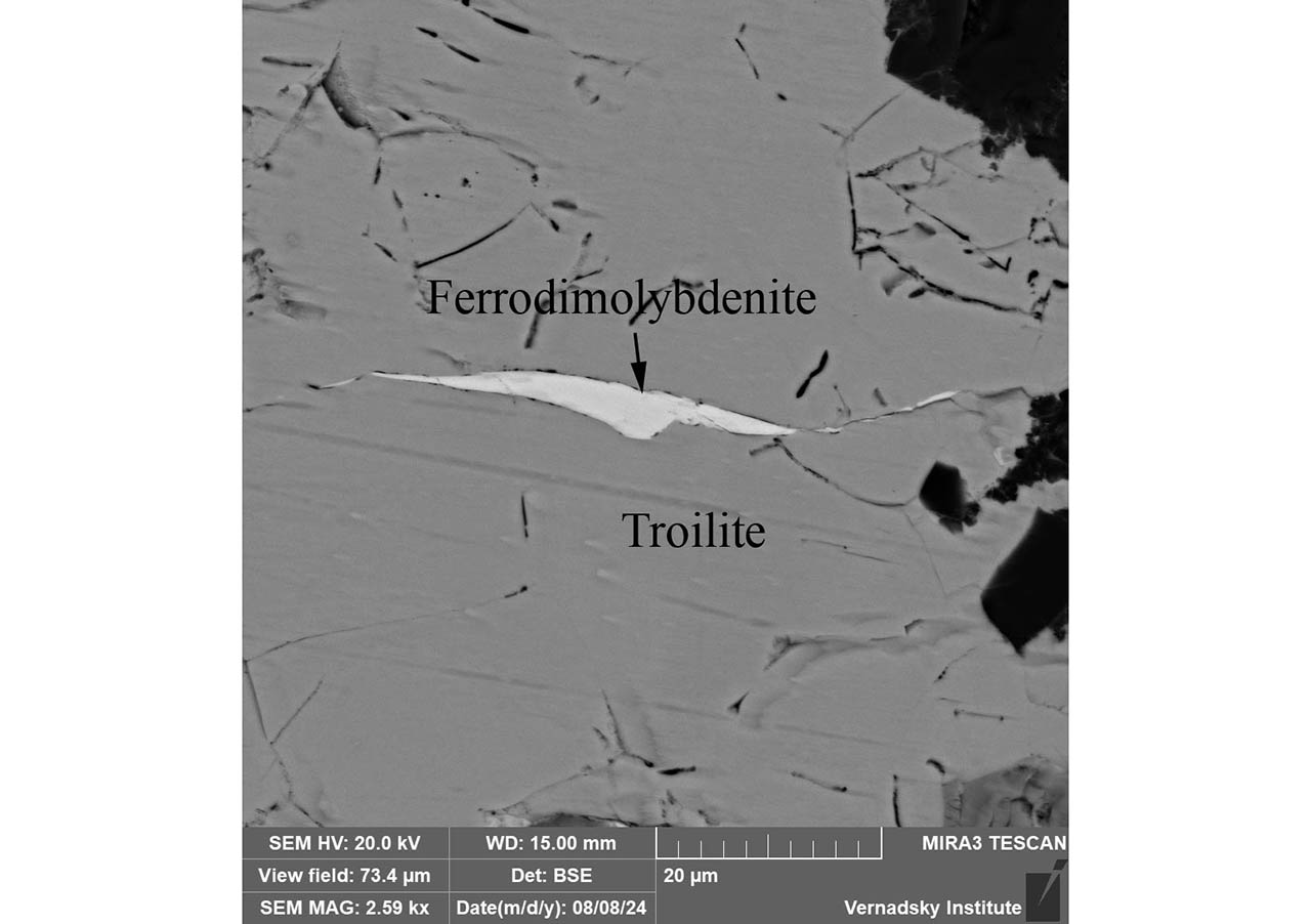 Кристалл ферродимолибденита