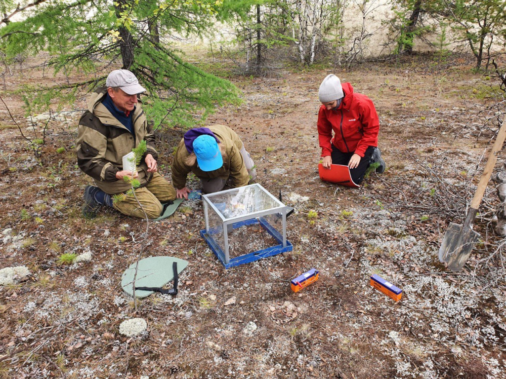 исследователи
