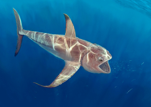 Bonnerichthys