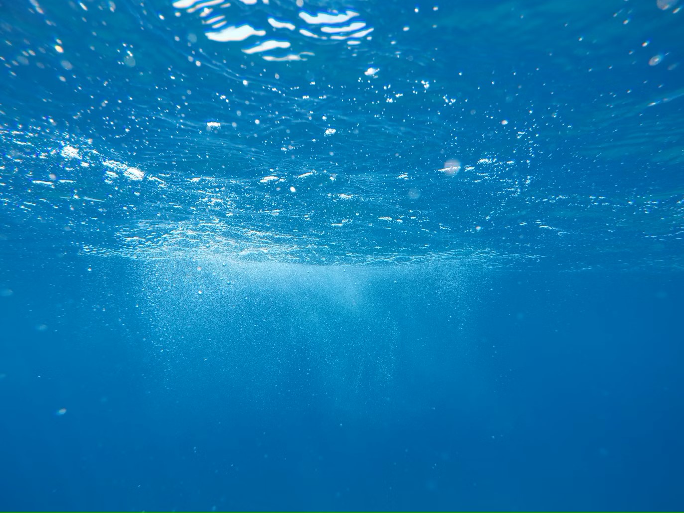 Ocean