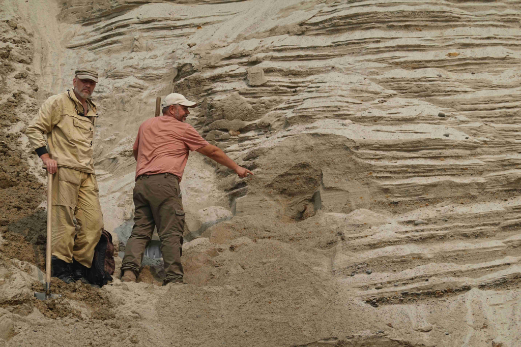 Отбор образца