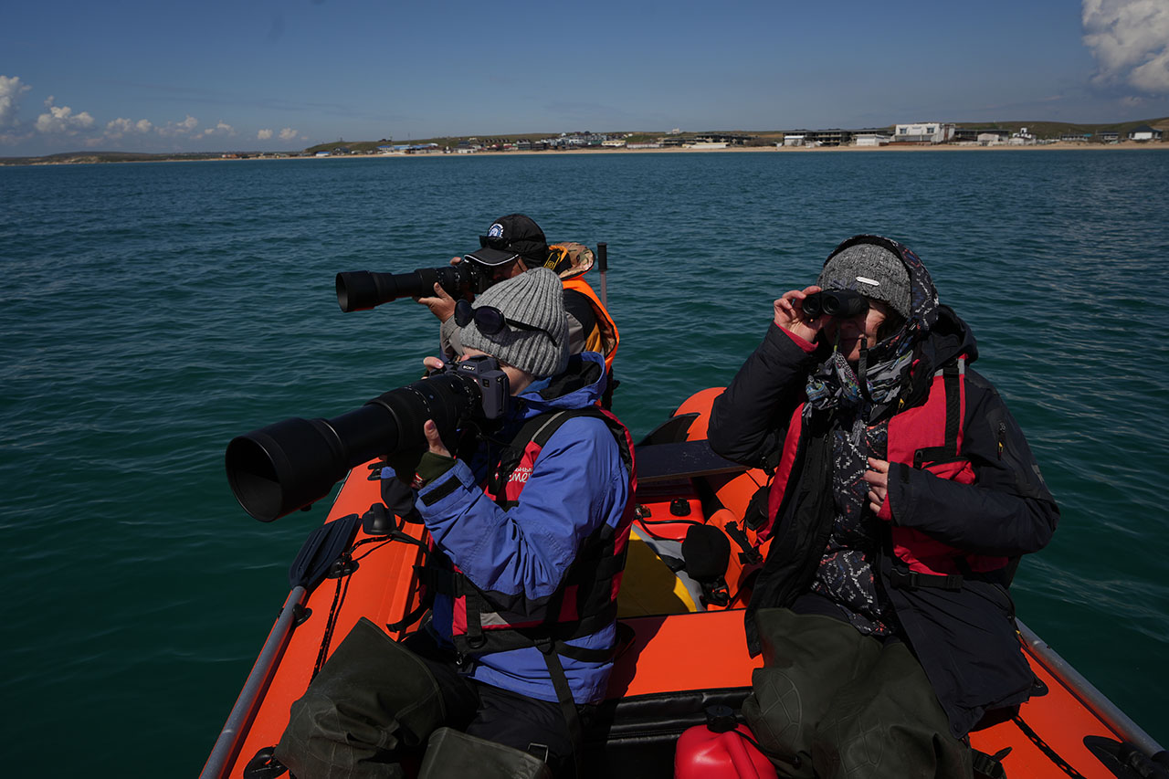 исследователи