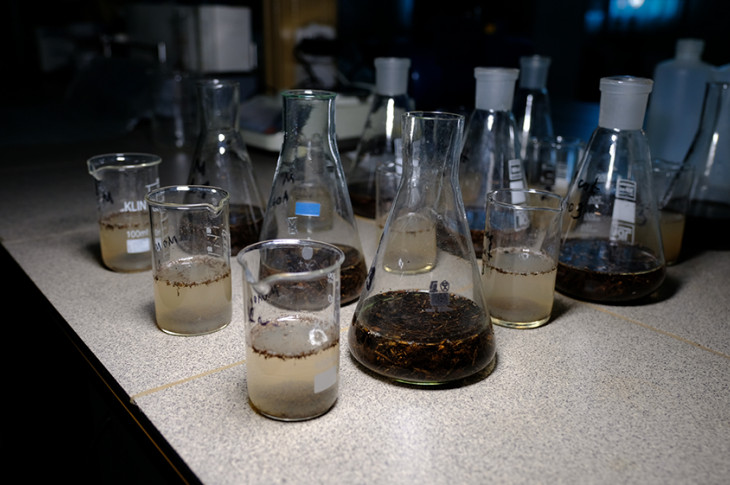 образцы речной воды