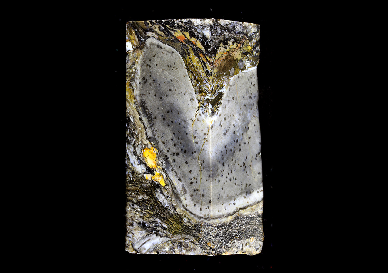 прототаксит