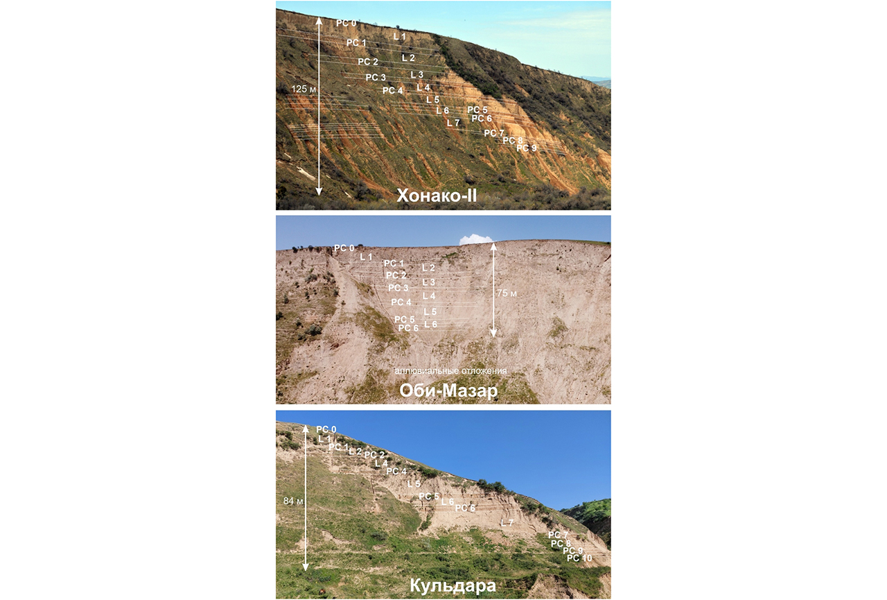 Объекты изучения