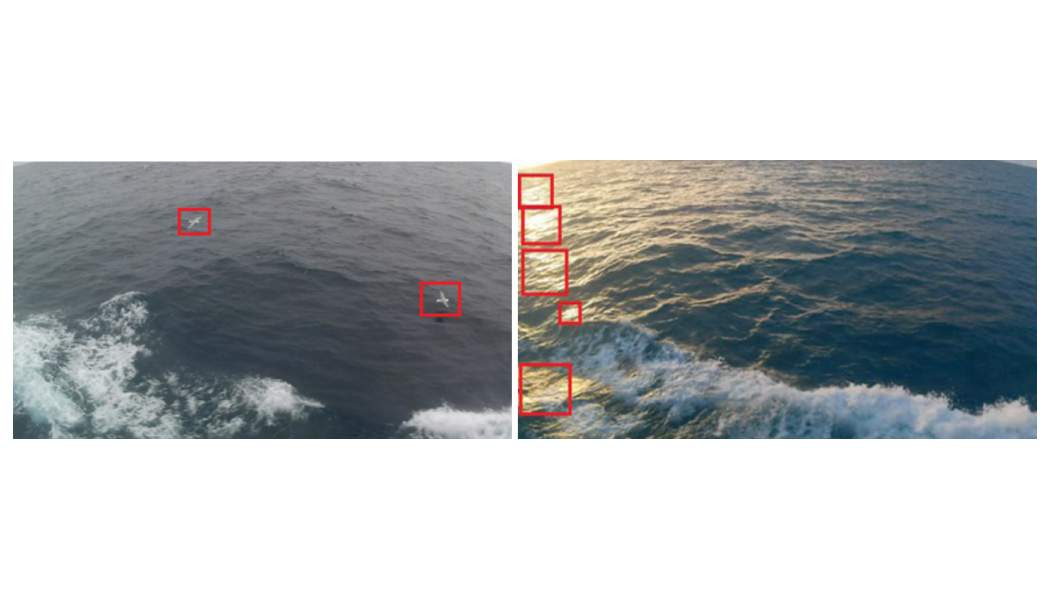 Примеры кадров