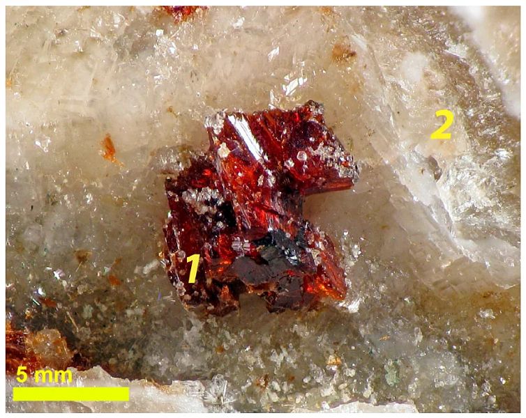 армбрустерит