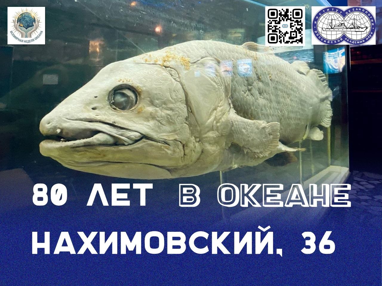 80 in the Ocean