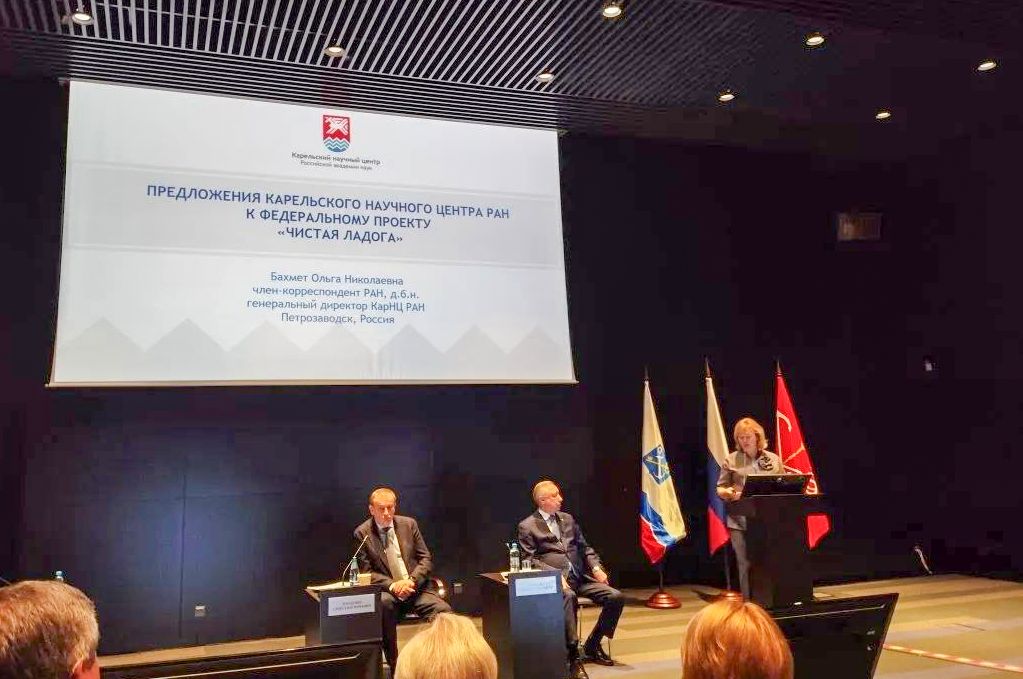 член-корреспондент РАН О. Н. Бахмет