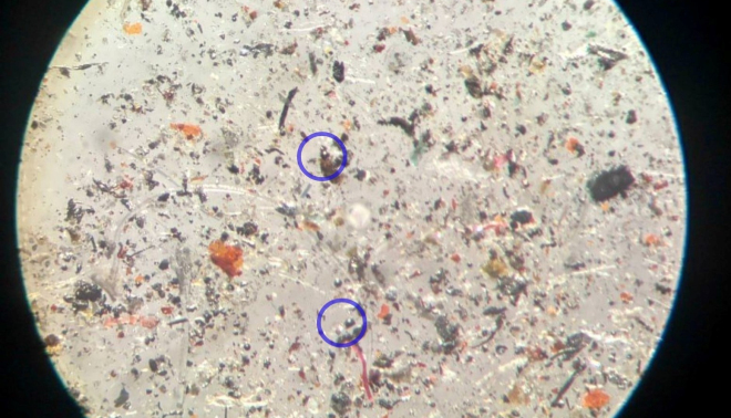 космическая пыль