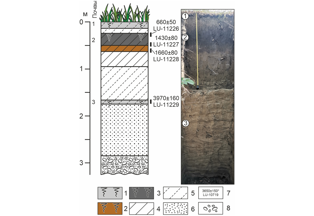 Строение отложений и радиоуглеродный возраст погребённых почв